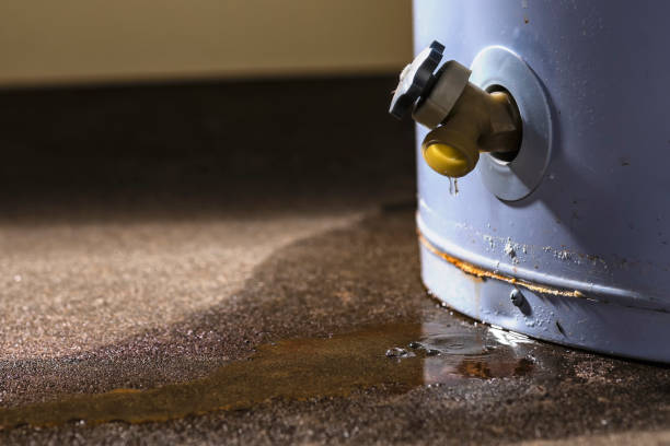 Best Fire Damage Restoration  in Garden City, NY