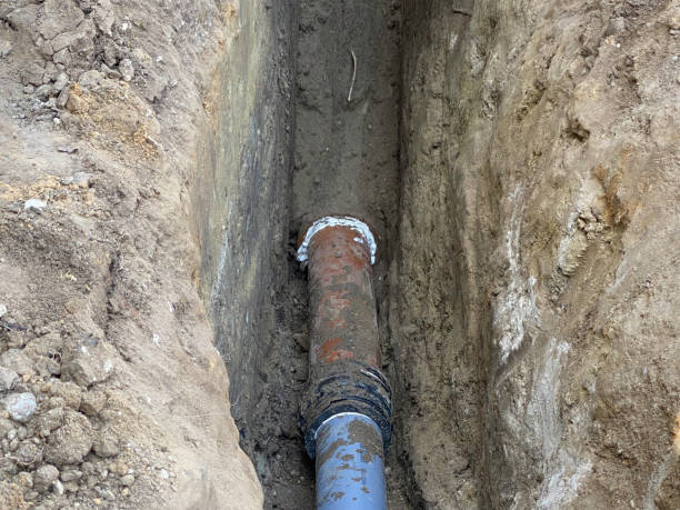 Best Flood damage cleanup  in Garden City, NY