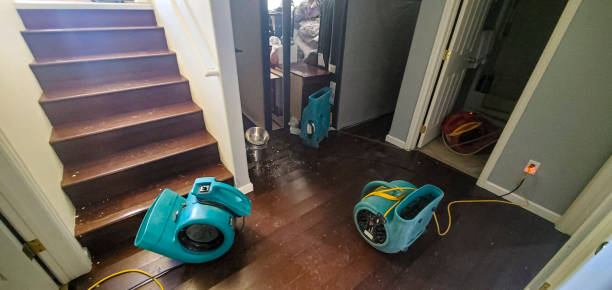 Best Mold removal after water damage  in Garden City, NY