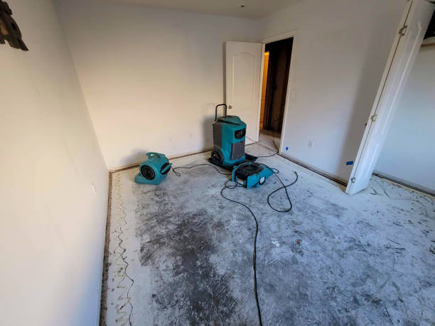 Best Basement water damage restoration  in Garden City, NY