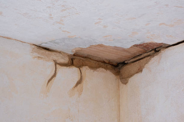 Best Flood damage cleanup  in Garden City, NY