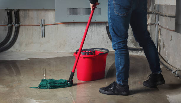Best Water damage contractors near me  in Garden City, NY