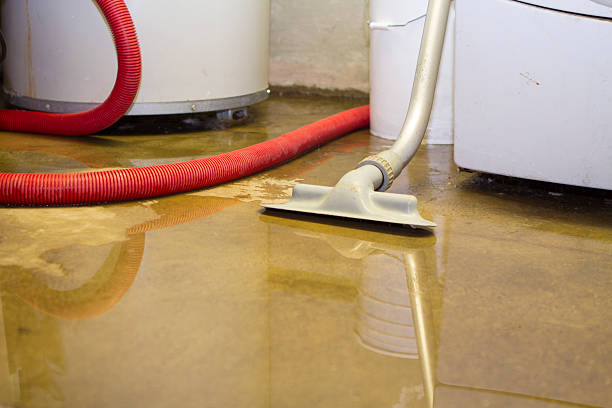 Best Ceiling water damage repair  in Garden City, NY