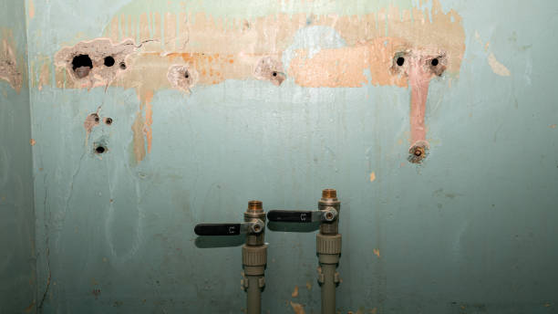 Best Water damage restoration near me  in Garden City, NY