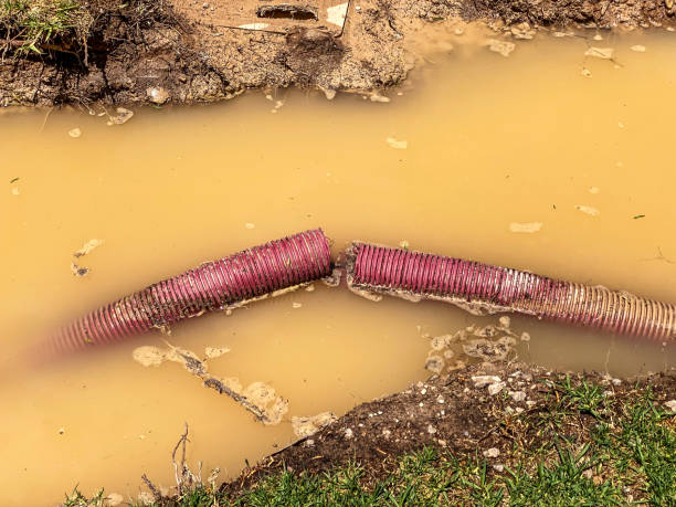 Best Emergency water damage restoration  in Garden City, NY